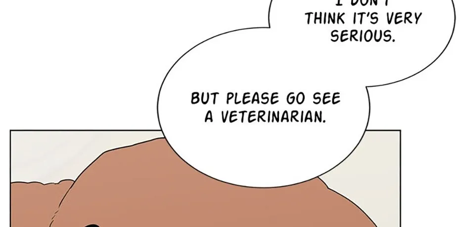 Somehow, My Tyrant Husband Has Became Cautious Chapter 82 page 47 - 