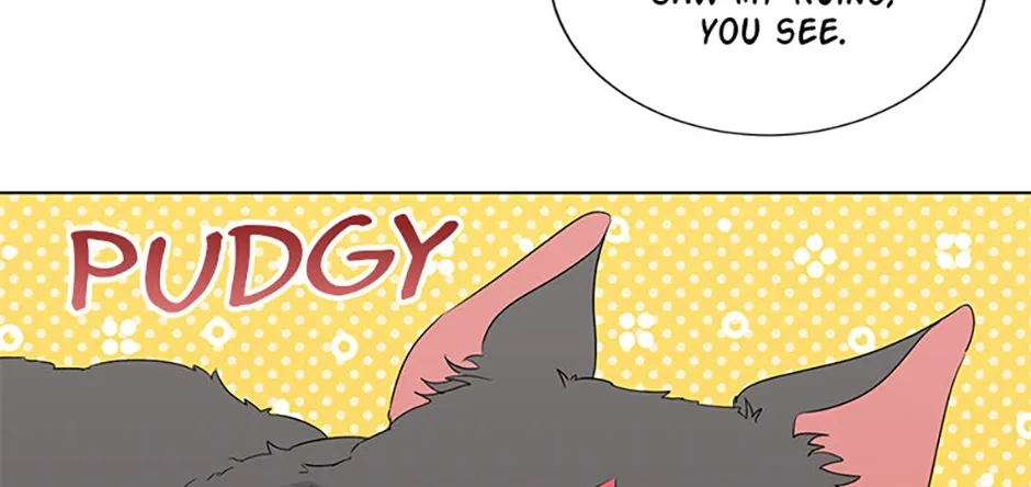 Somehow, My Tyrant Husband Has Became Cautious Chapter 84 page 27 - 