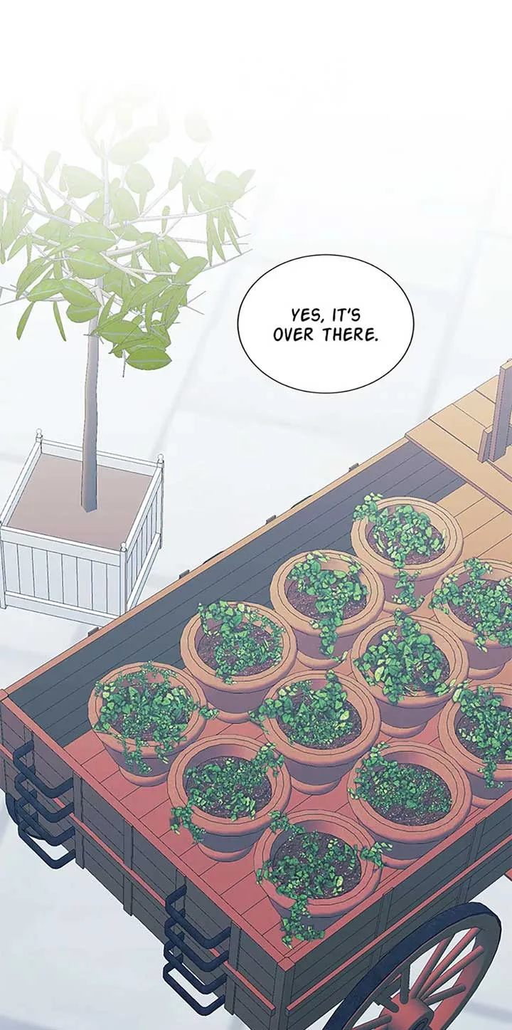 Somehow, My Tyrant Husband Has Became Cautious Chapter 85 page 10 - 