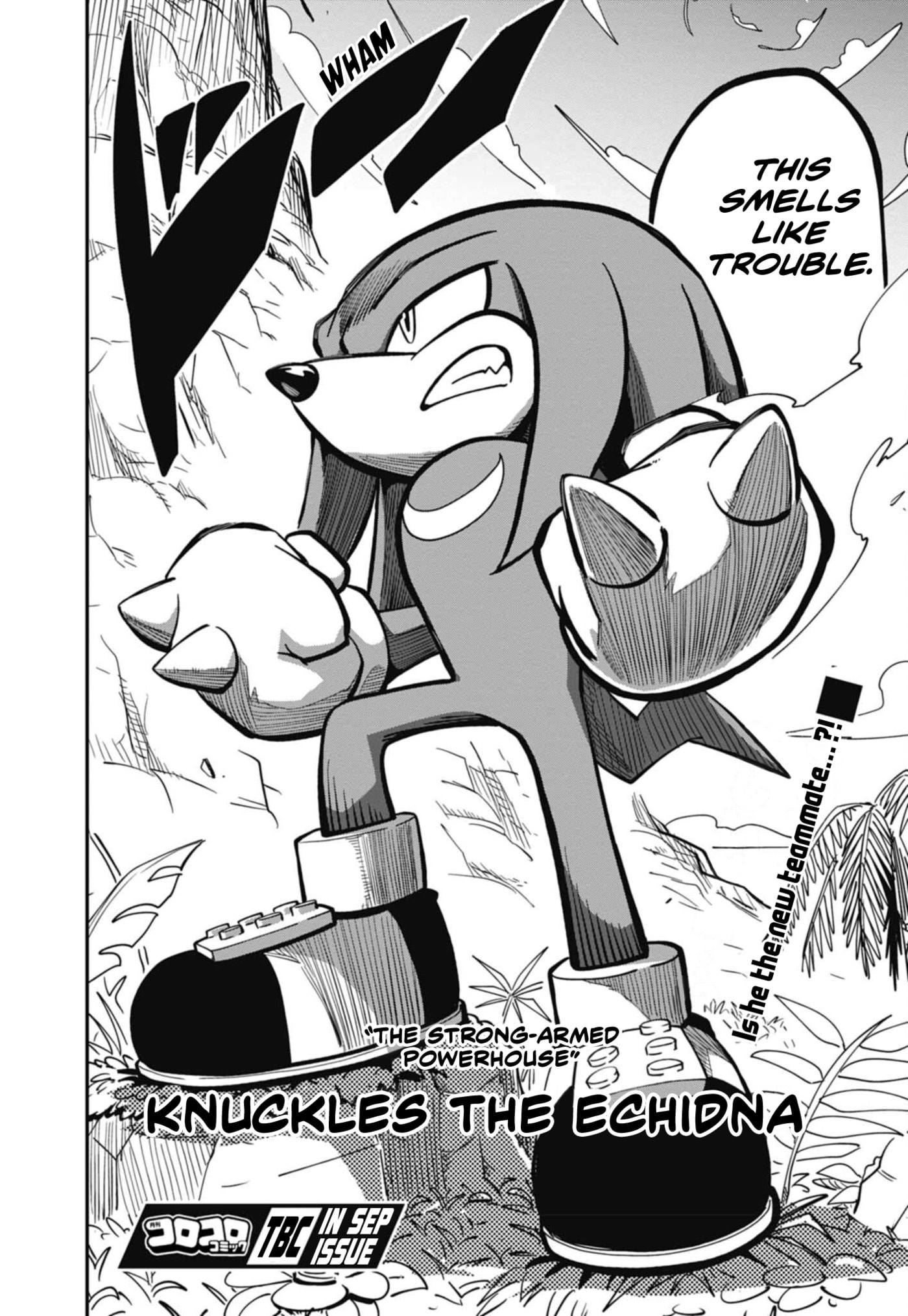Sonic and the Blade of Courage Chapter 14 page 30 - 
