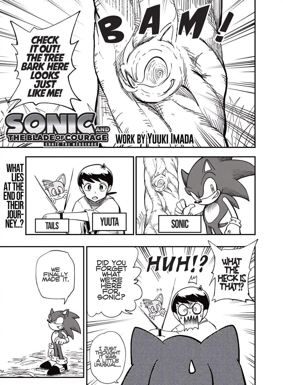 Sonic and the Blade of Courage Chapter 5 page 1 - 