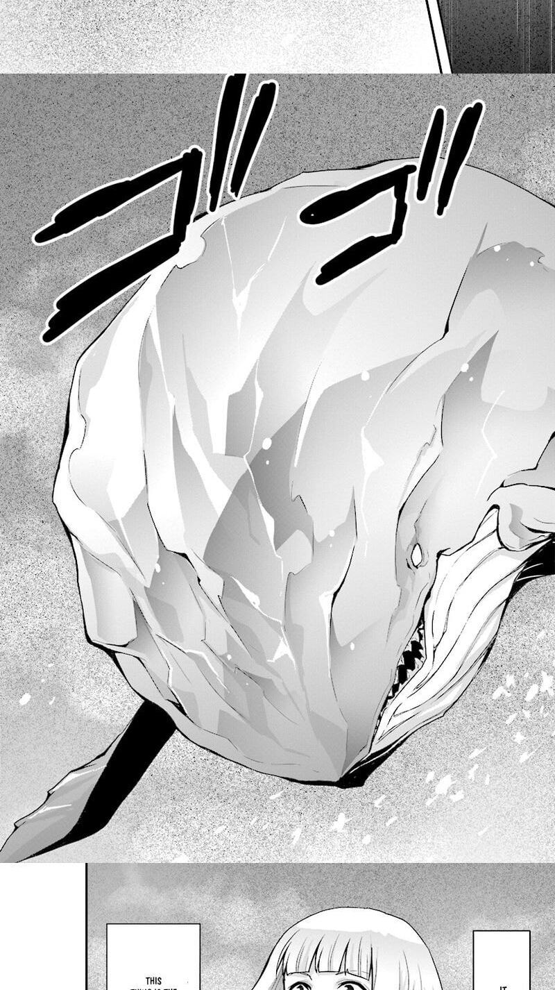 Sono Bouken-sha, Toriatsukai chuui. ~Shoutai wa Muteki no Geboku-tachi o Suberu Isekai Saikyou no Madou-ou~ Chapter 4 page 21 - 