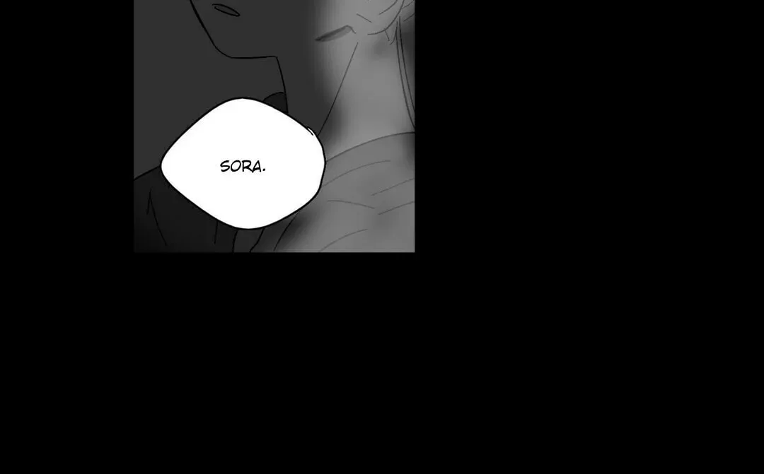 Sora
