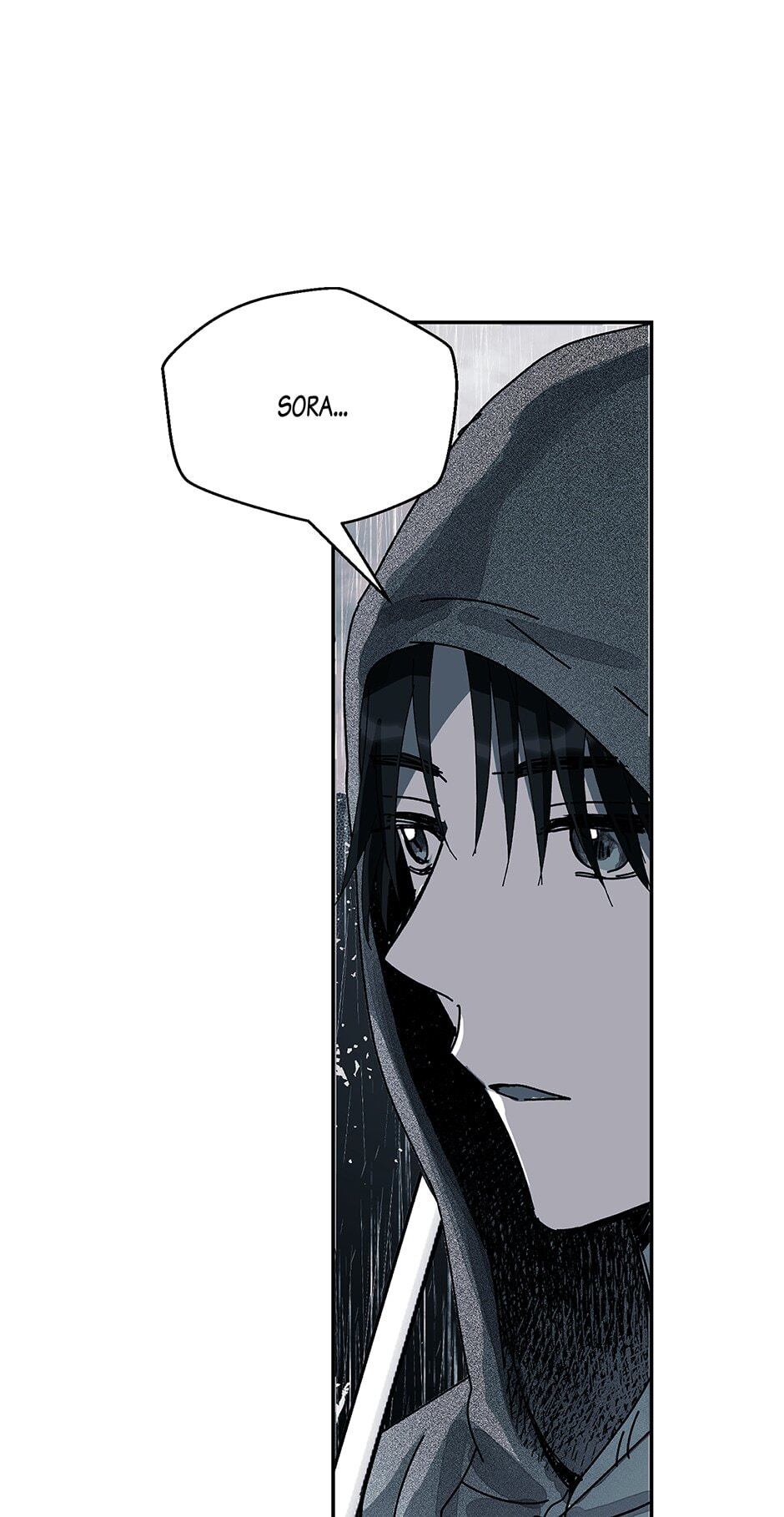 Sora