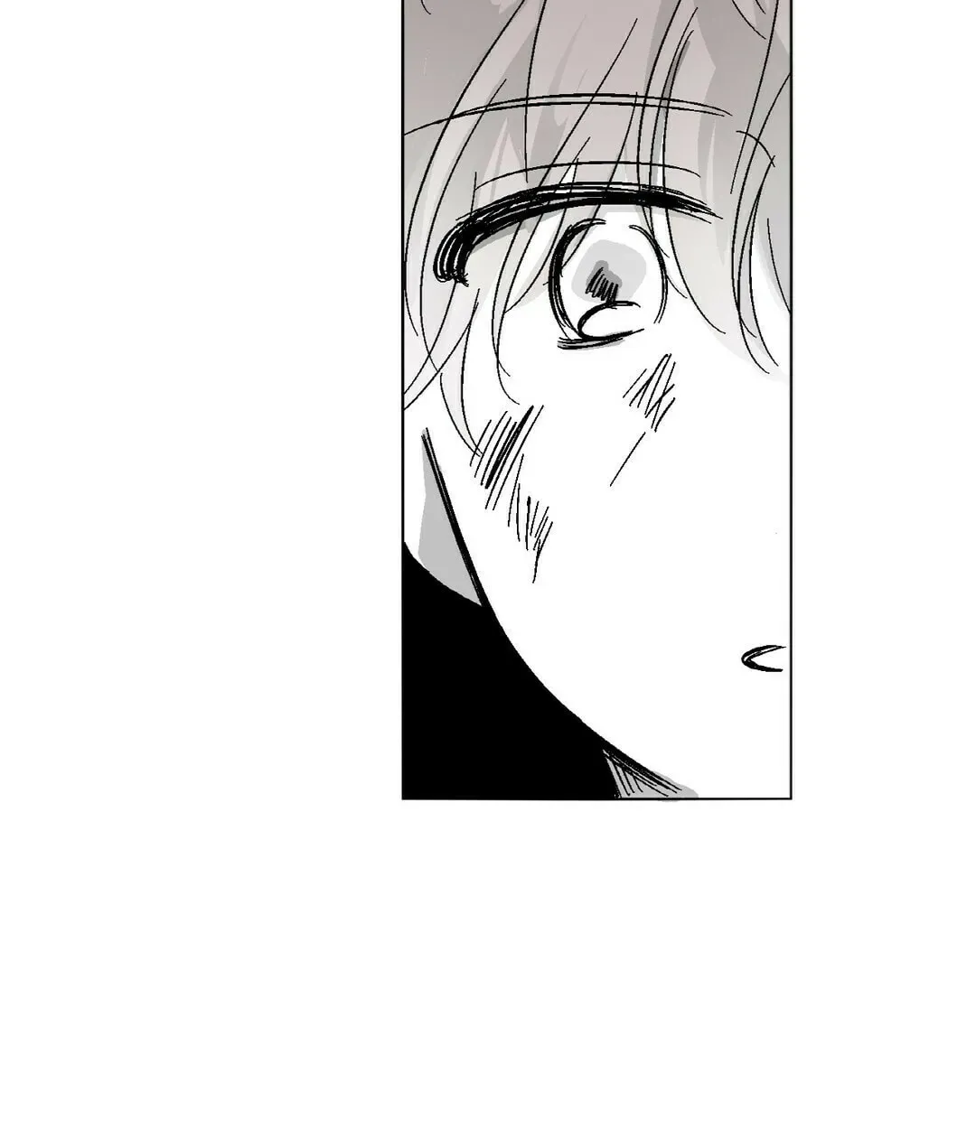 Sora