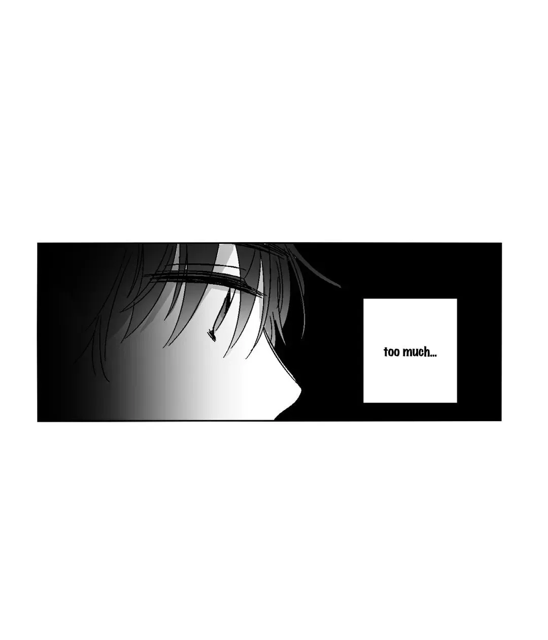 Sora