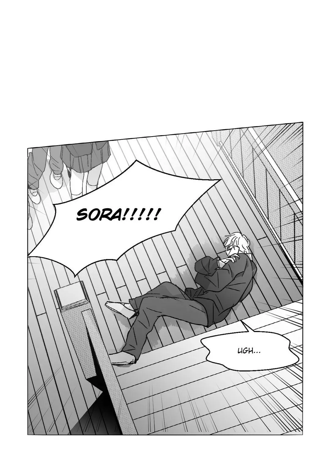 Sora