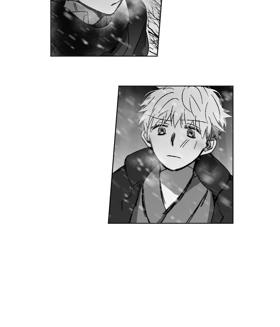 Sora
