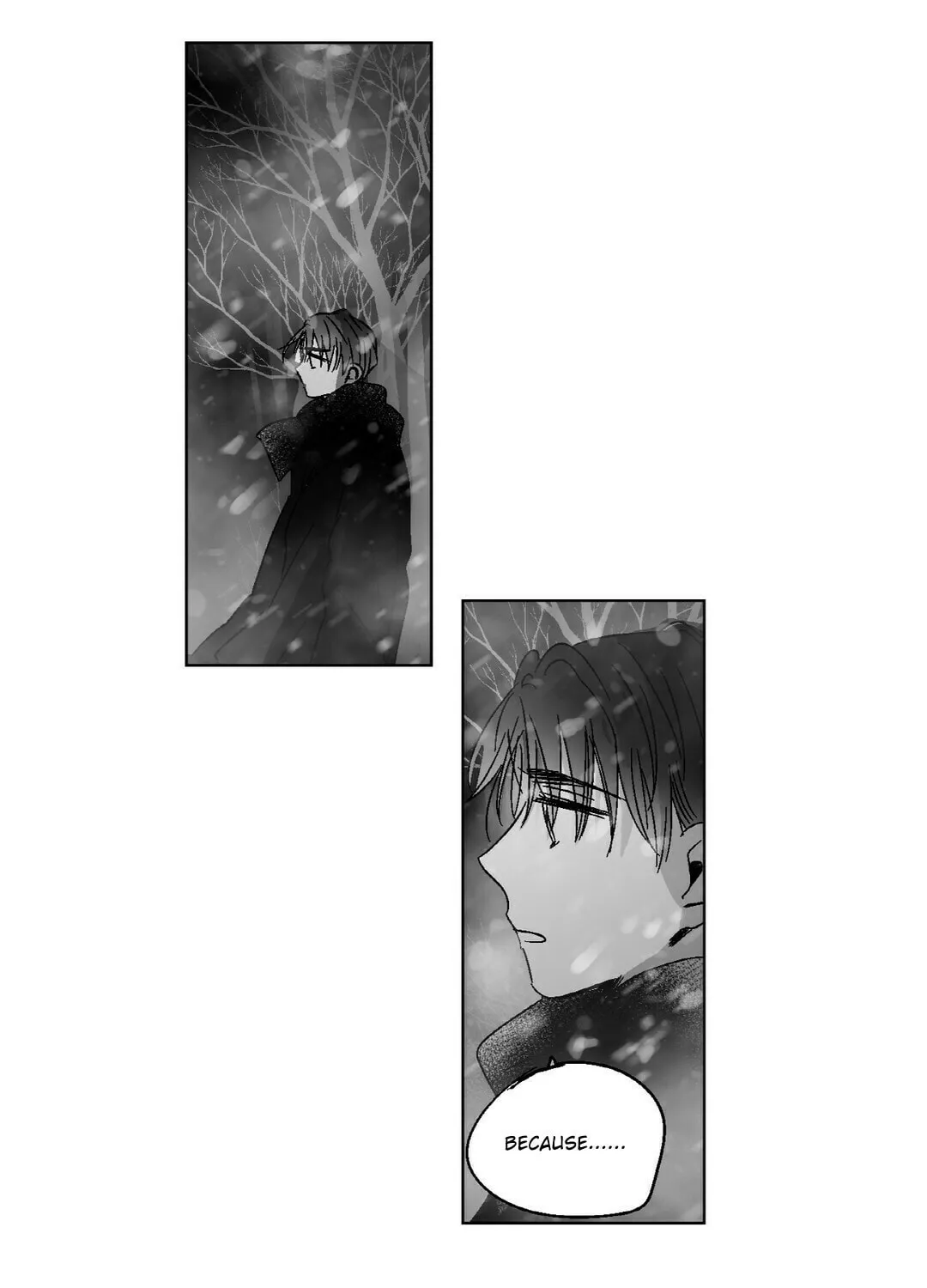 Sora