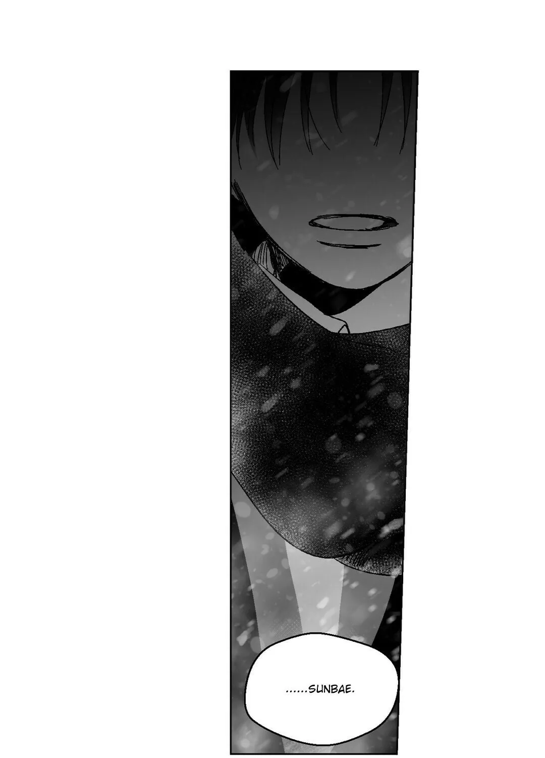Sora