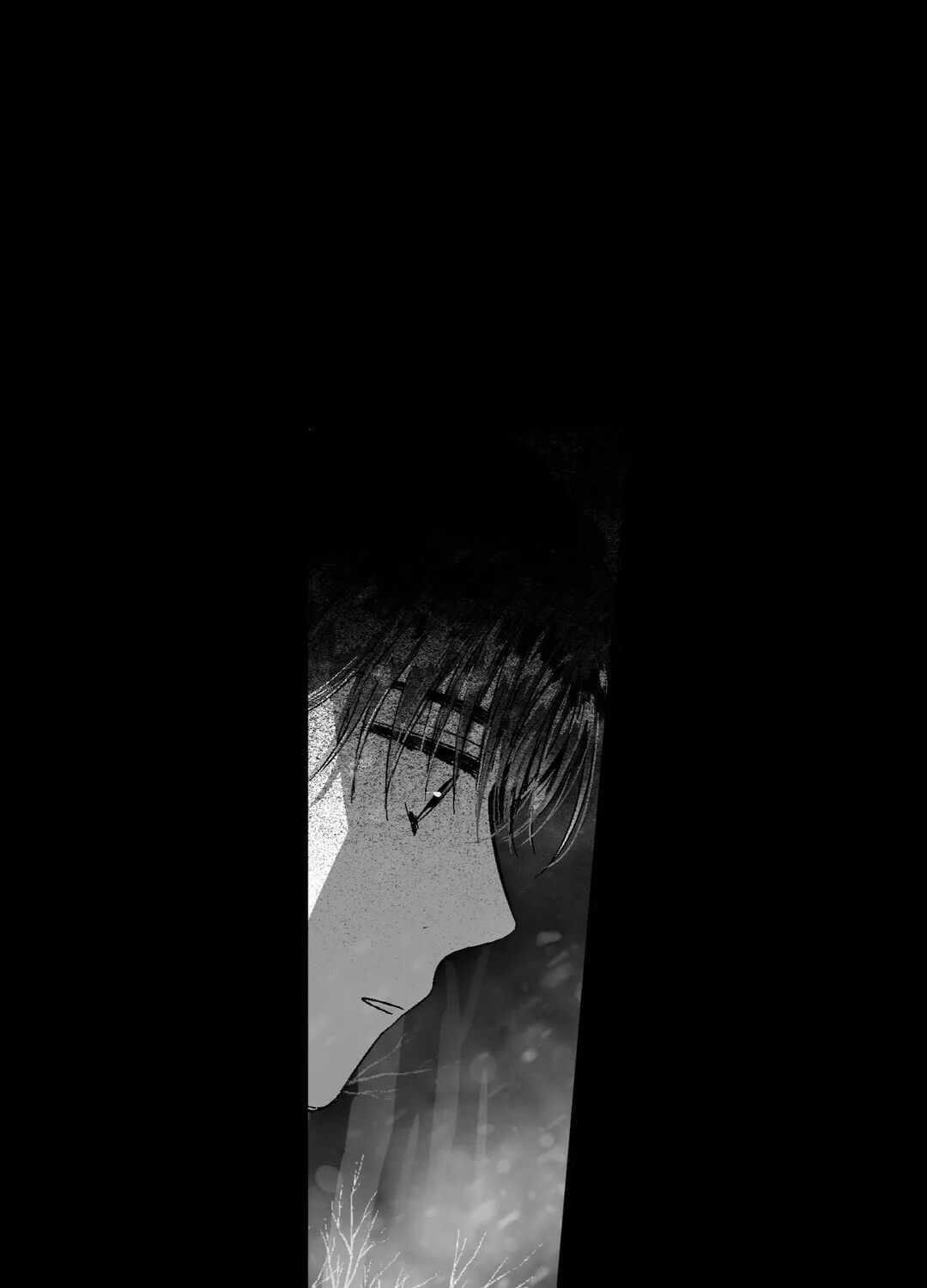 Sora
