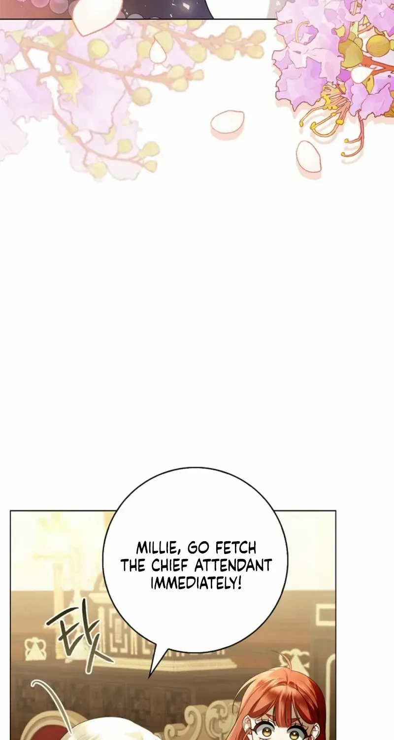 Sorry, I got distracted by your looks Chapter 19 page 27 - 