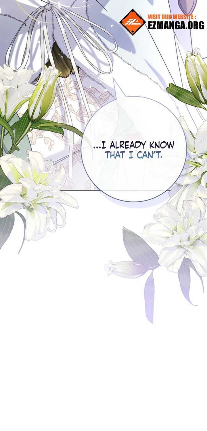 Sorry, I got distracted by your looks Chapter 24 page 48 - 
