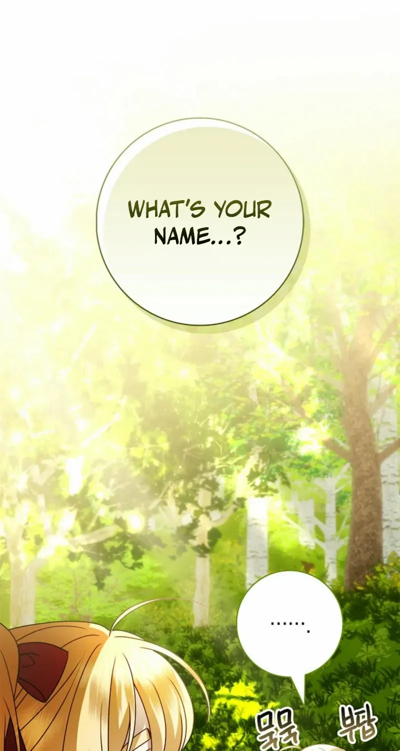 Sorry, I got distracted by your looks Chapter 27 page 12 - 