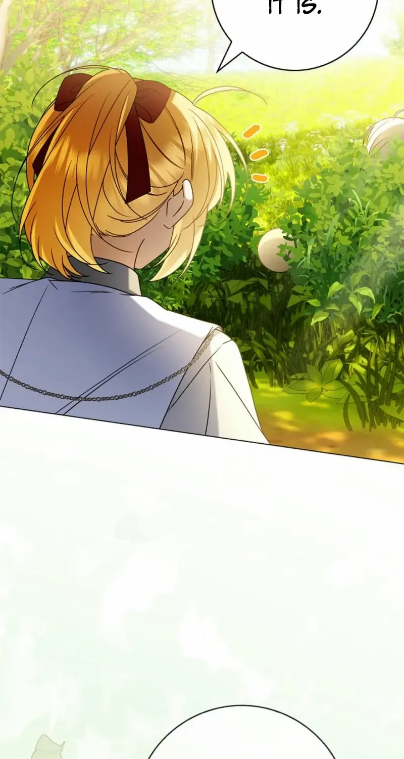 Sorry, I got distracted by your looks Chapter 27 page 5 - 