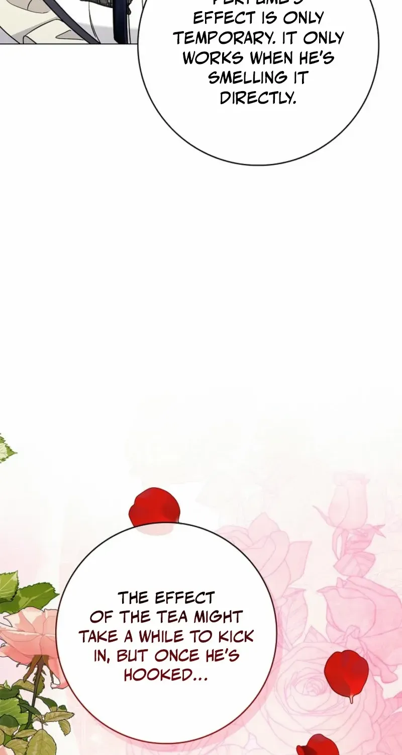 Sorry, I got distracted by your looks Chapter 28 page 34 - 