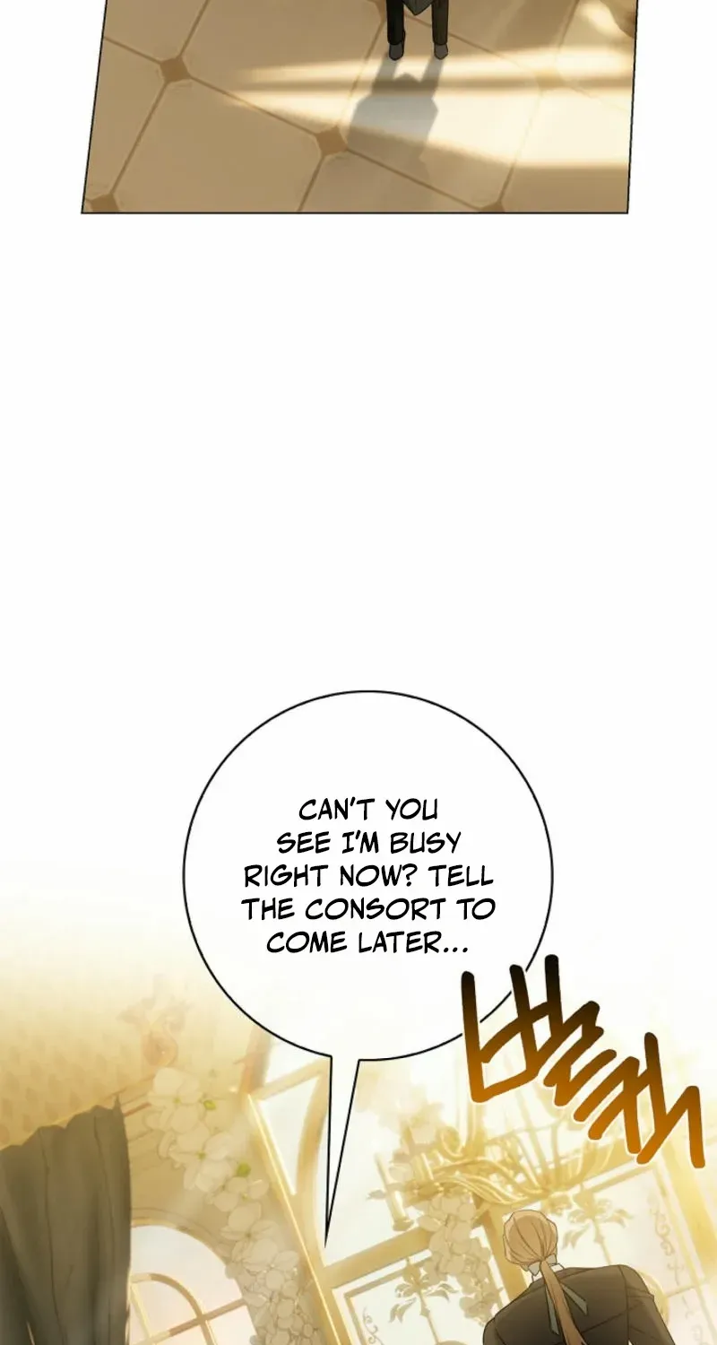 Sorry, I got distracted by your looks Chapter 28 page 5 - 