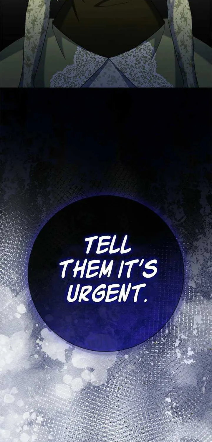 Sorry, I got distracted by your looks Chapter 31 page 29 - 