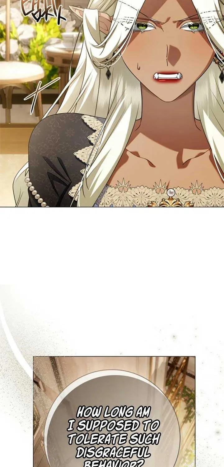 Sorry, I got distracted by your looks Chapter 31 page 51 - 