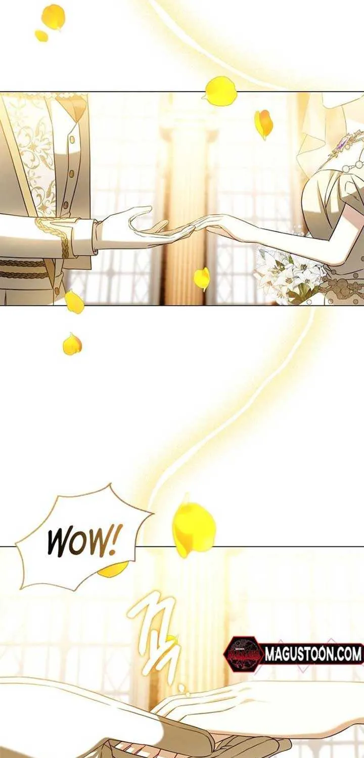 Sorry, I got distracted by your looks Chapter 6 page 42 - 