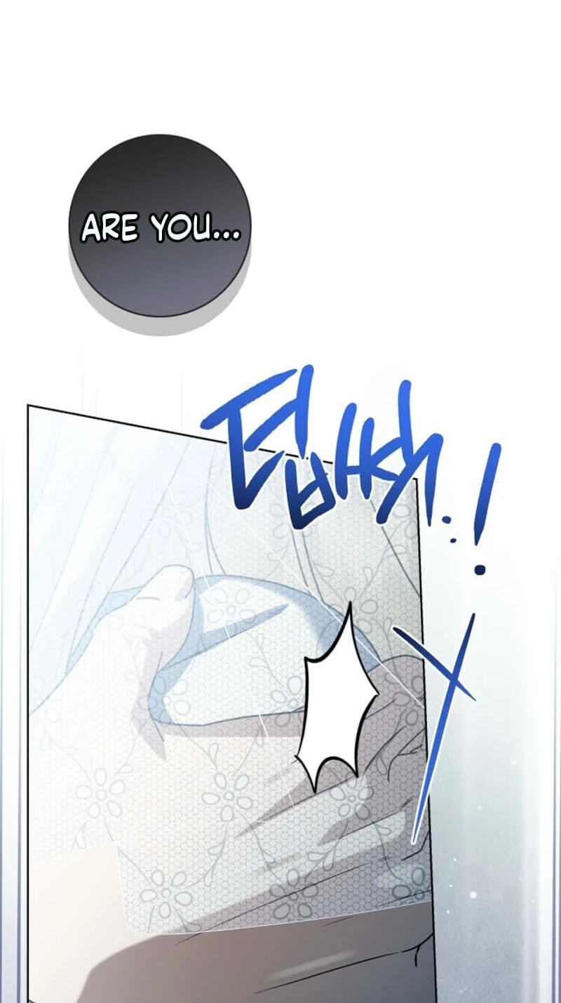 Sorry, I