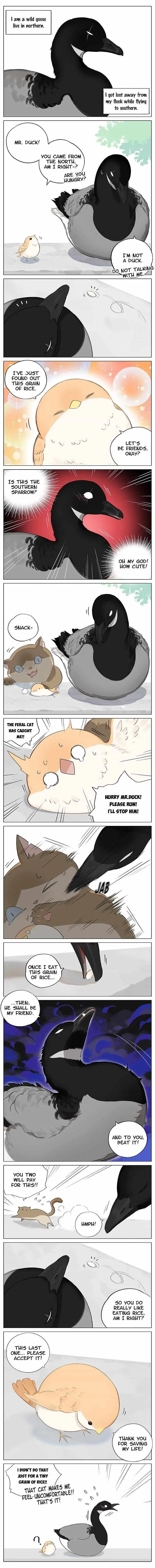 Southern Bird and Northern Bird Chapter 1 page 1 - 