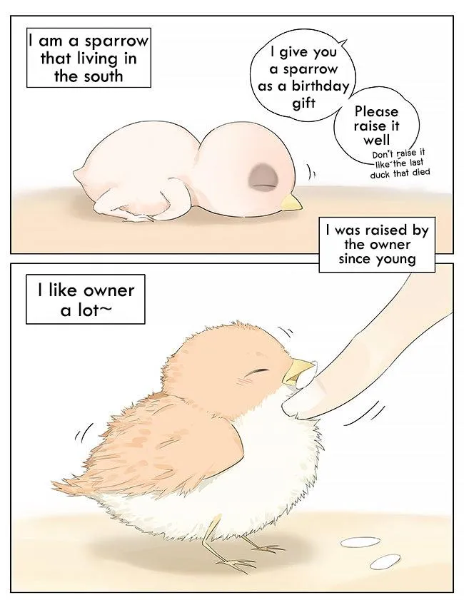 Southern Bird and Northern Bird Chapter 10 page 1 - 