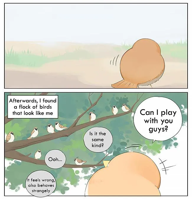 Southern Bird and Northern Bird Chapter 10 page 4 - 