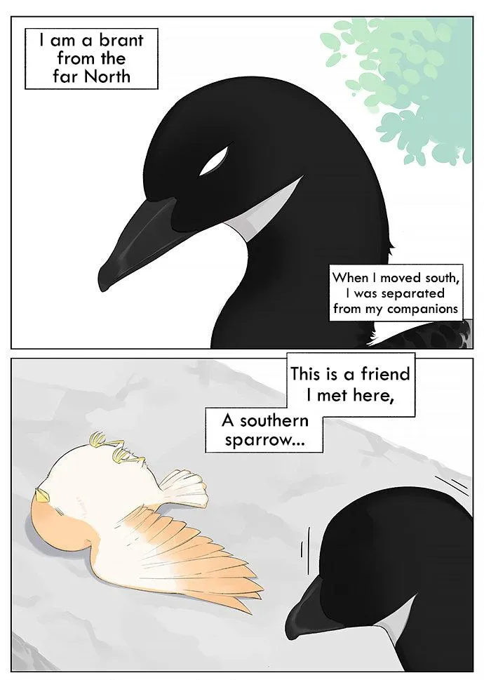 Southern Bird and Northern Bird Chapter 12 page 1 - 