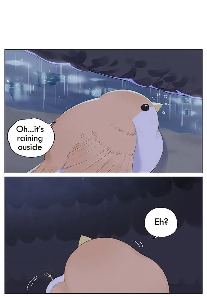 Southern Bird and Northern Bird Chapter 12 page 4 - 