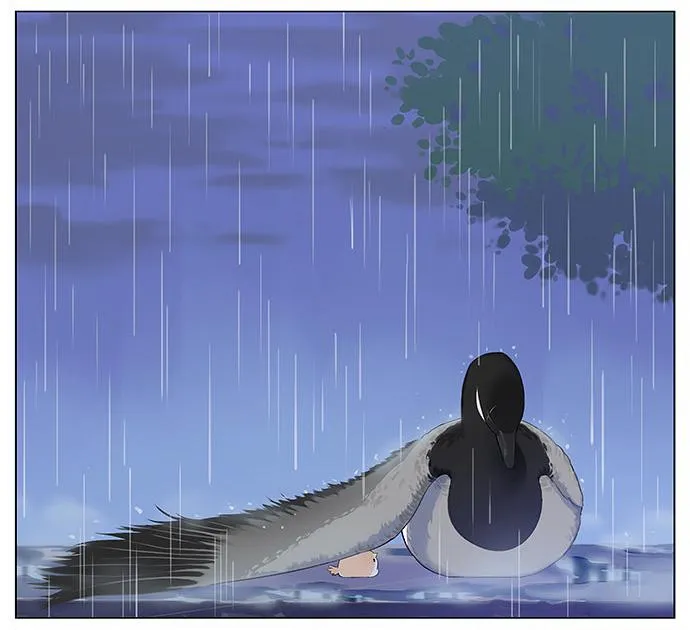 Southern Bird and Northern Bird Chapter 12 page 5 - 