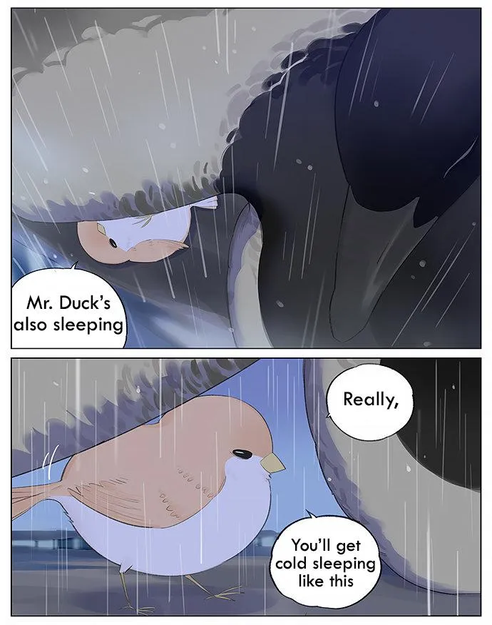 Southern Bird and Northern Bird Chapter 12 page 6 - 