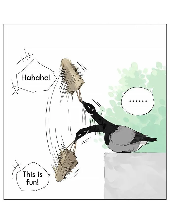 Southern Bird and Northern Bird Chapter 13 page 9 - 