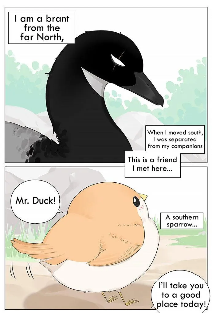 Southern Bird and Northern Bird Chapter 14 page 1 - 