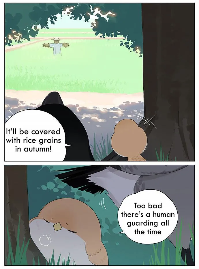 Southern Bird and Northern Bird Chapter 14 page 3 - 