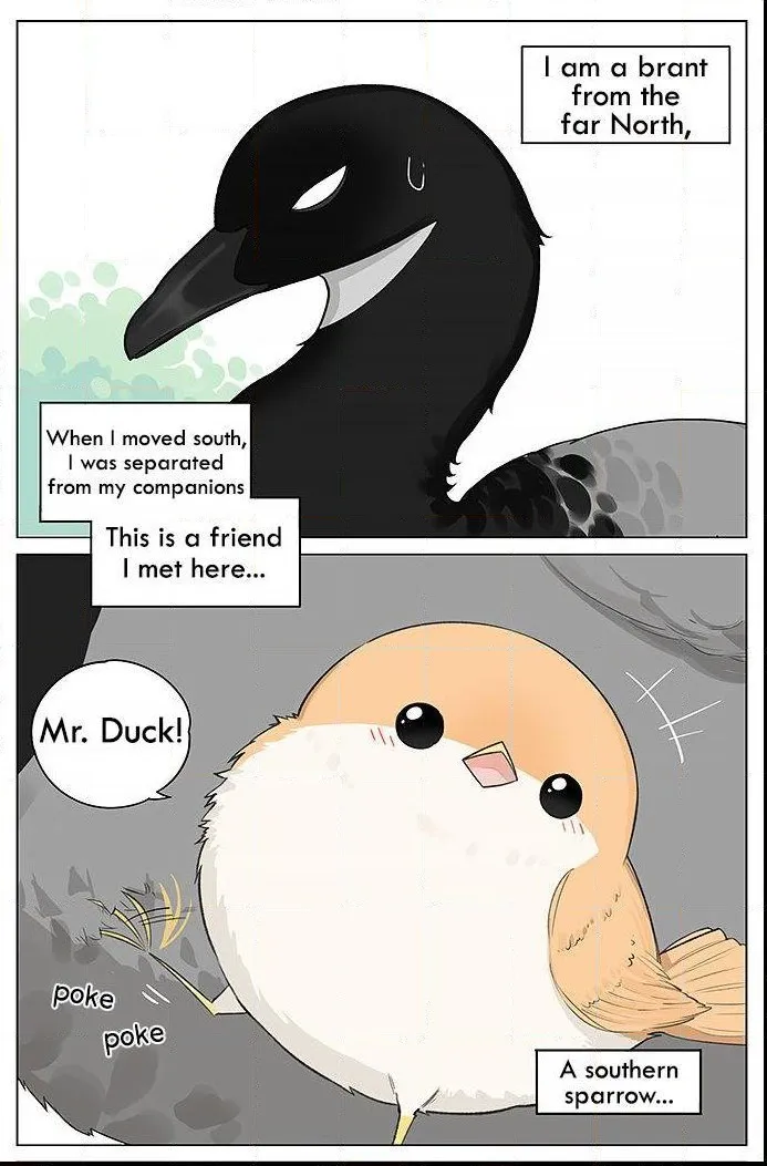 Southern Bird and Northern Bird Chapter 15 page 1 - 