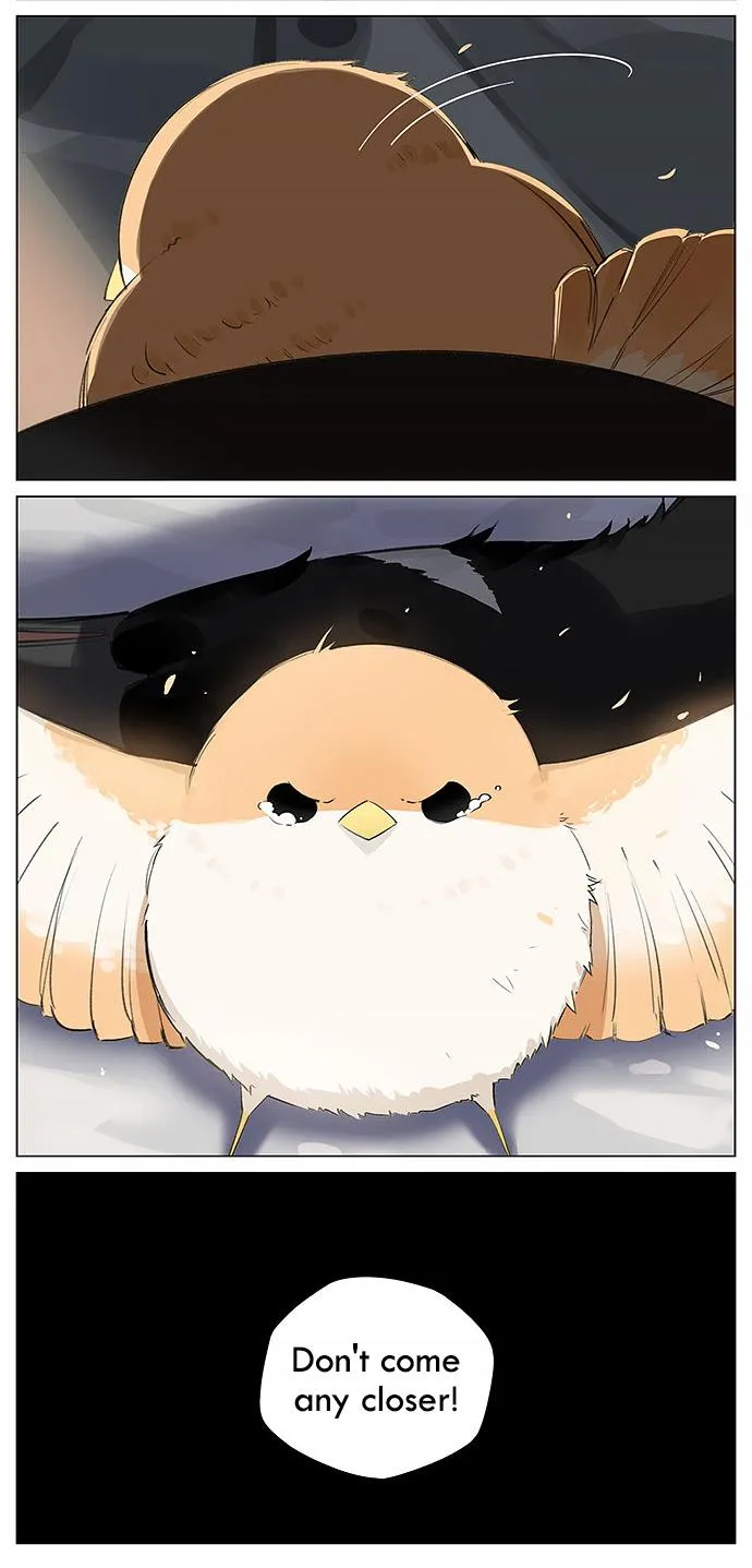 Southern Bird and Northern Bird Chapter 15 page 7 - 
