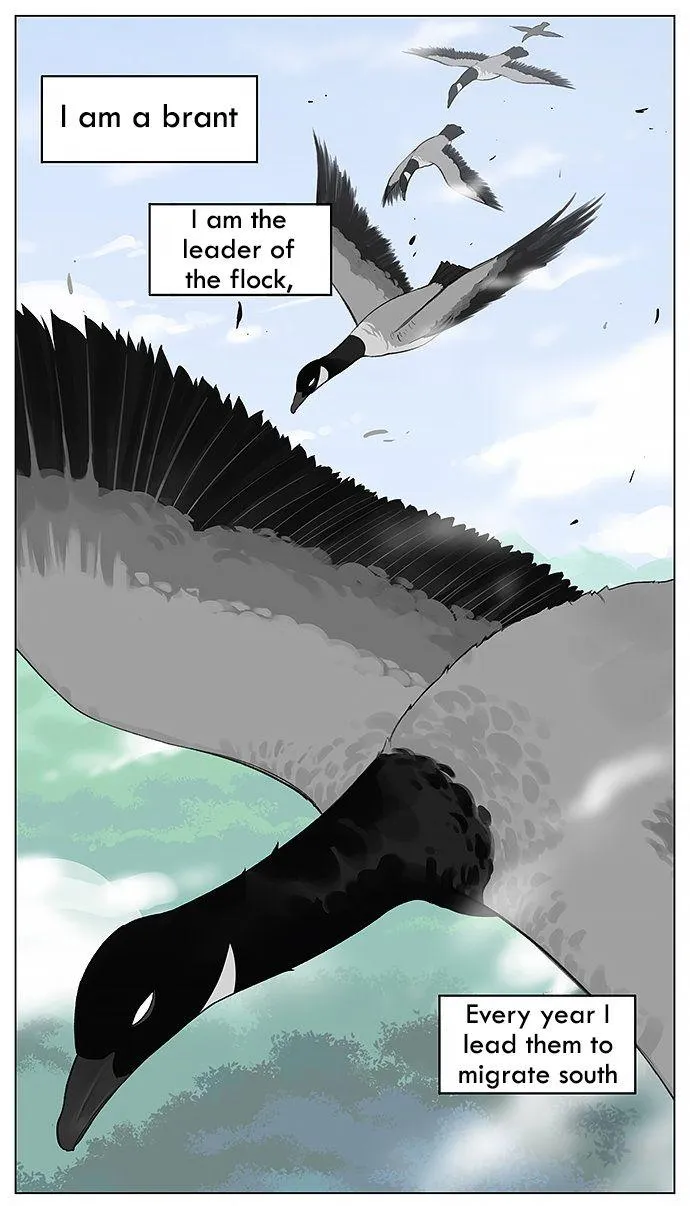 Southern Bird and Northern Bird Chapter 16 page 1 - 
