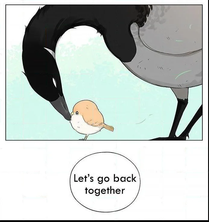 Southern Bird and Northern Bird Chapter 19 page 12 - 