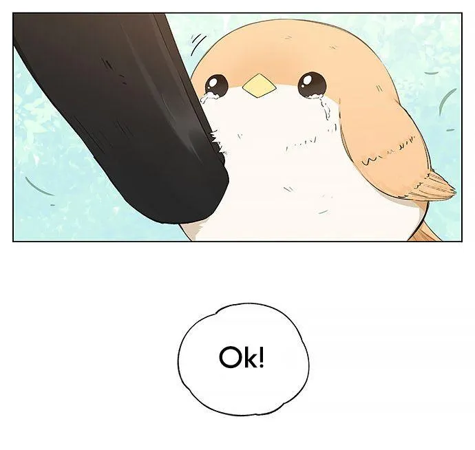 Southern Bird and Northern Bird Chapter 19 page 13 - 