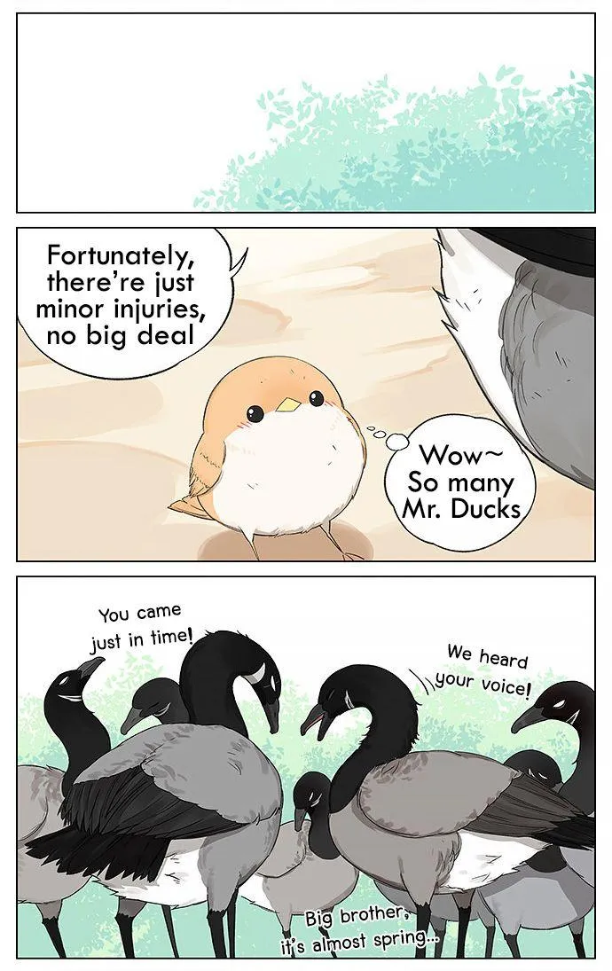 Southern Bird and Northern Bird Chapter 19 page 3 - 