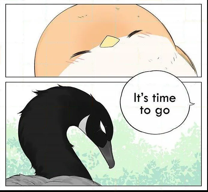 Southern Bird and Northern Bird Chapter 19 page 4 - 