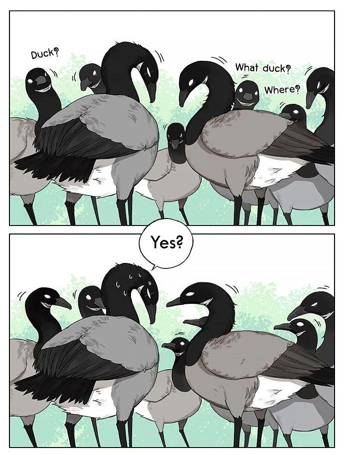 Southern Bird and Northern Bird Chapter 19 page 6 - 