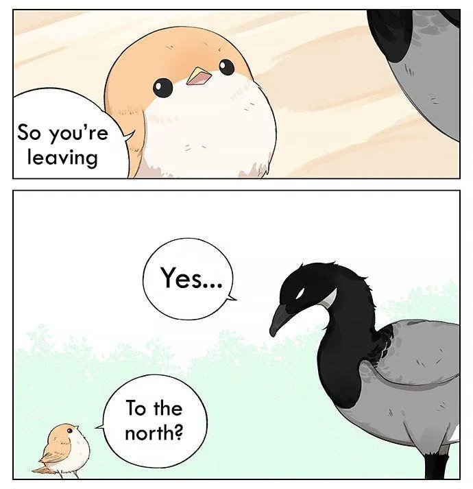 Southern Bird and Northern Bird Chapter 19 page 7 - 