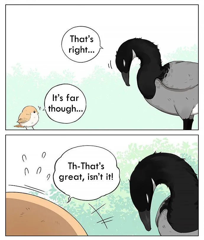 Southern Bird and Northern Bird Chapter 19 page 8 - 