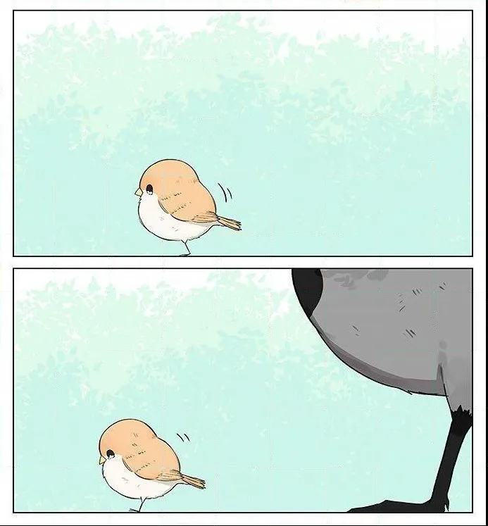 Southern Bird and Northern Bird Chapter 19 page 10 - 