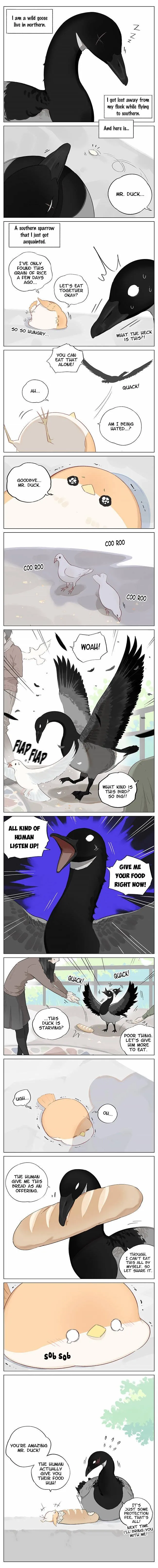 Southern Bird and Northern Bird Chapter 2 page 1 - 