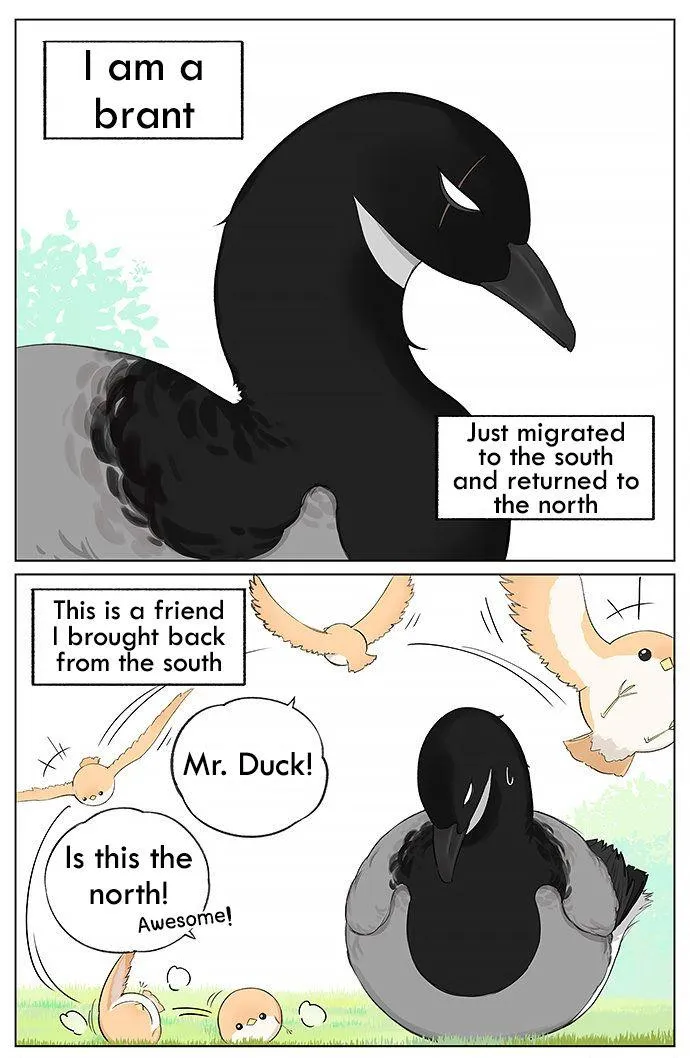 Southern Bird and Northern Bird Chapter 20 page 1 - 