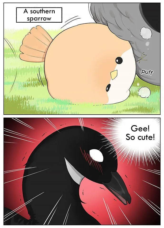 Southern Bird and Northern Bird Chapter 20 page 2 - 