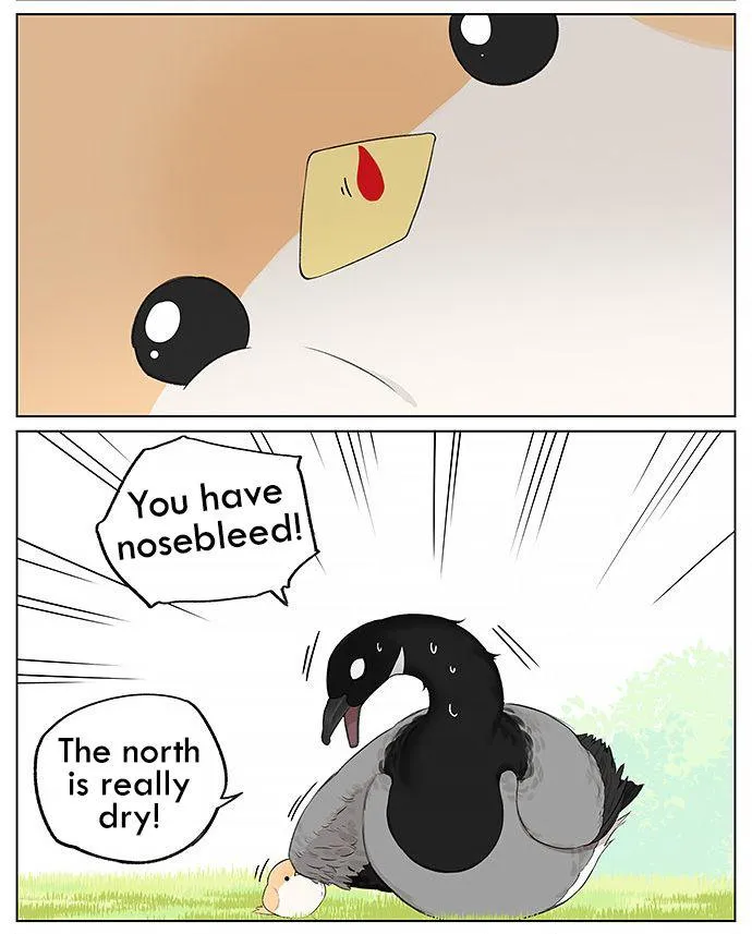 Southern Bird and Northern Bird Chapter 20 page 3 - 